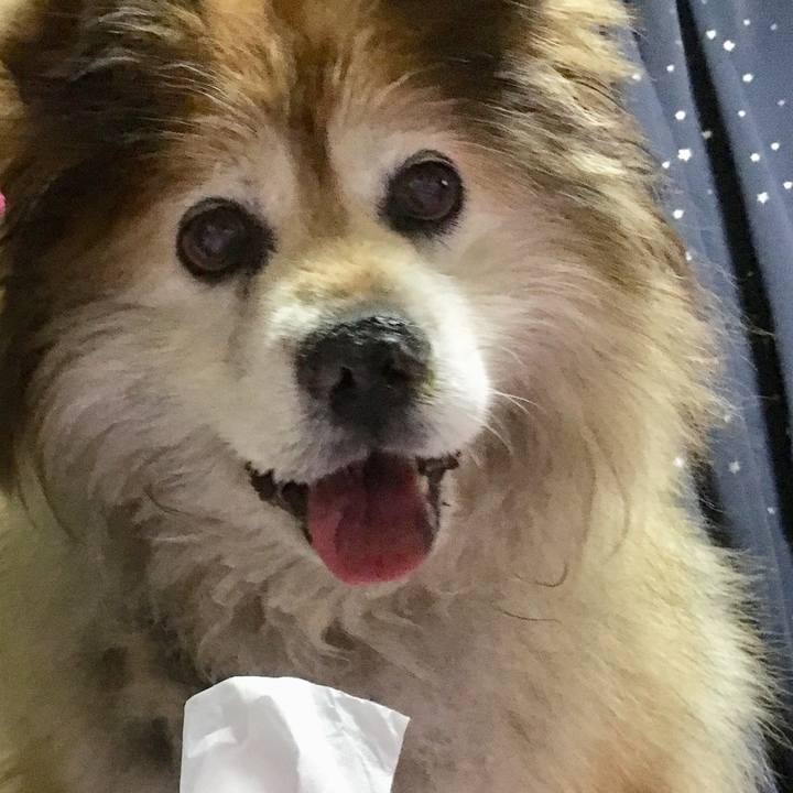 Eef89917 41a7 4900 9dfd bd5afd755b13 1596589202061