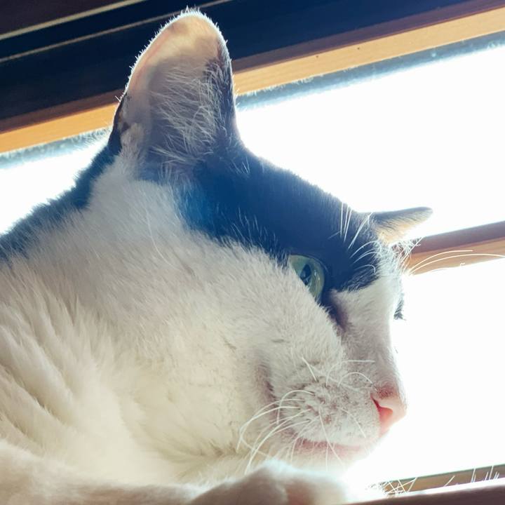 Eef8a4eb fea7 44fc 908c f76571375924 1596244742216