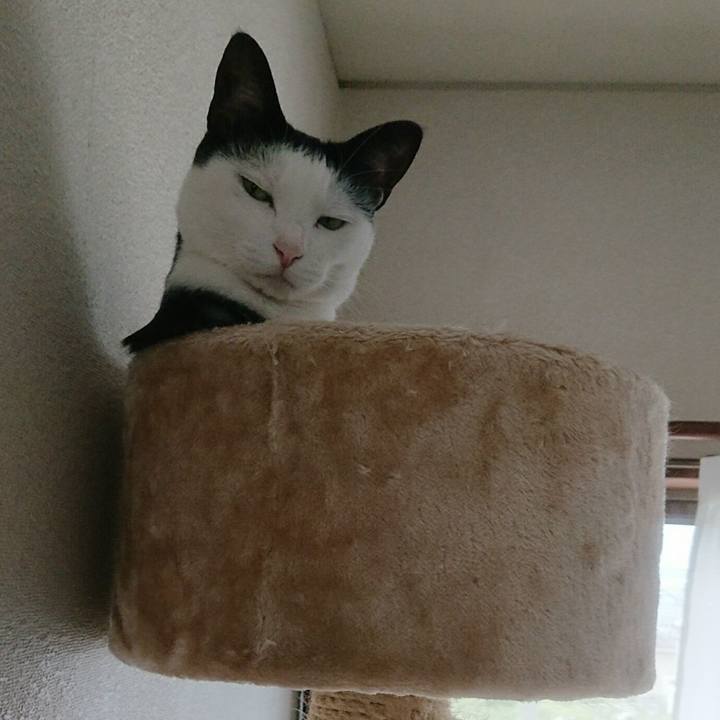 Eef9223a 8d1d 4592 85dd 7346c53069d3 1536365922934