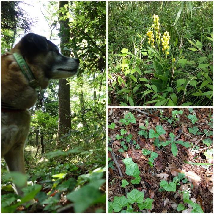 Eef94930 ee71 4b81 8d9f c3955ae4441a 1556844562981