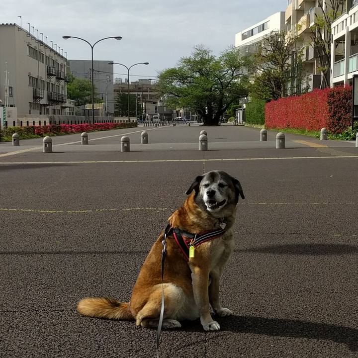 Eef98c0b 13bc 45ce bf3c a9812ca57899 1523839196107