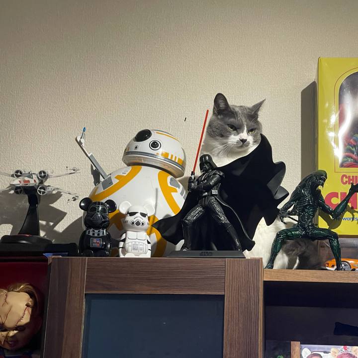 Eef9cce3 b333 4169 9987 b6707f88140f 1624276758379