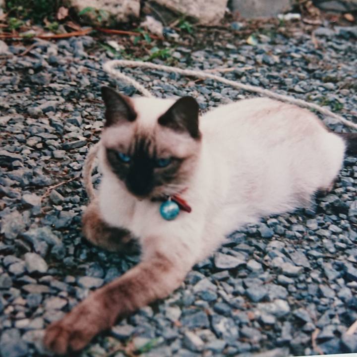 Eef9eaf7 5a4e 4ff7 9396 3df7c26850ae 1599424905094