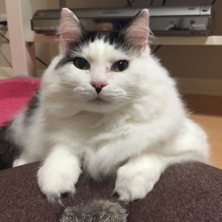 Eef9f1f5 6d5d 4e24 b087 5d209100bd9d 1507804560668