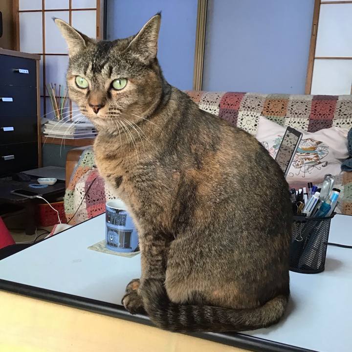 Eefa34a4 b28a 40a3 9837 ca680d7c85b5 1762160615658