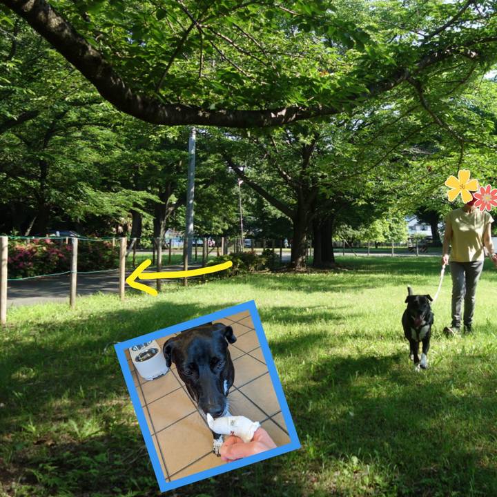 Eefa3521 1e10 4b4b 98ae 6175a6b967a2 1653877434720