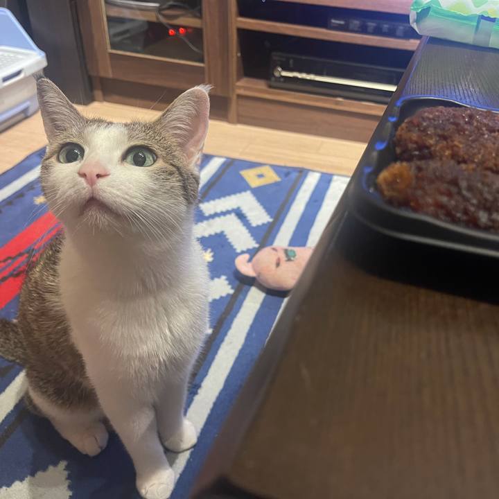 Eefa43a1 52dd 43e0 befb 2ba6d23e5331 1627221699971