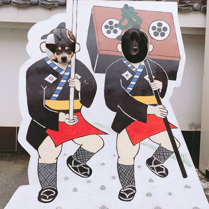 Eefaa9e0 b2a2 417b aa32 6fdb327b2167 1556719148205