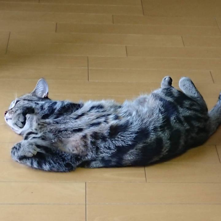 Eefac26c 46c2 4e73 b684 ca8e31c32ea4 1550529797282