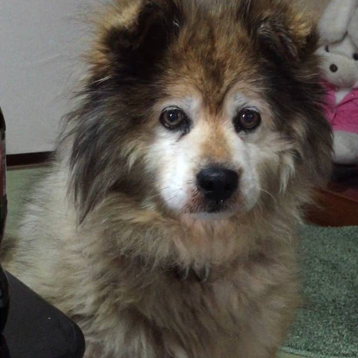 Eefaca42 aa00 462e b534 f6270c1b7e0c 1594600133081