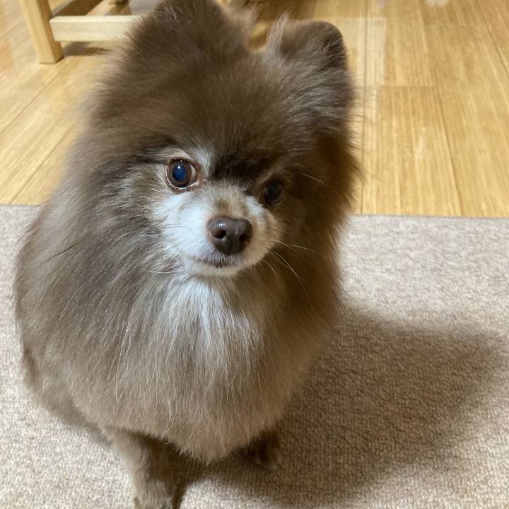 Eefb1af4 8dd2 4614 9746 39617c8a0da3 1673686897747