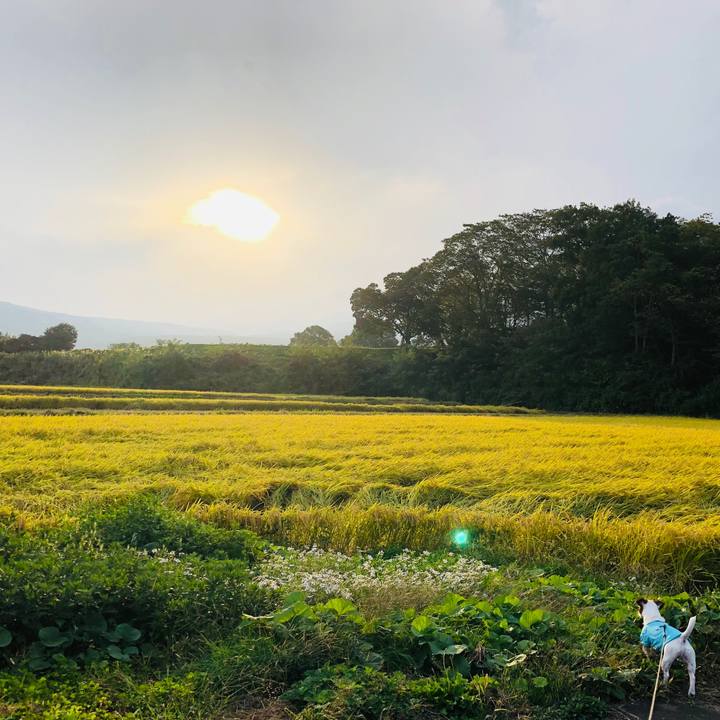 Eefb21d6 19b8 4de3 9eaf f0573e10f0d9 1570100792755