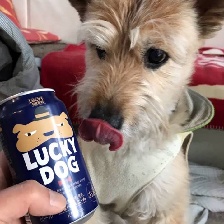 Eefb2ca5 8f10 4bb8 8c84 e48196b48515 1772066889042