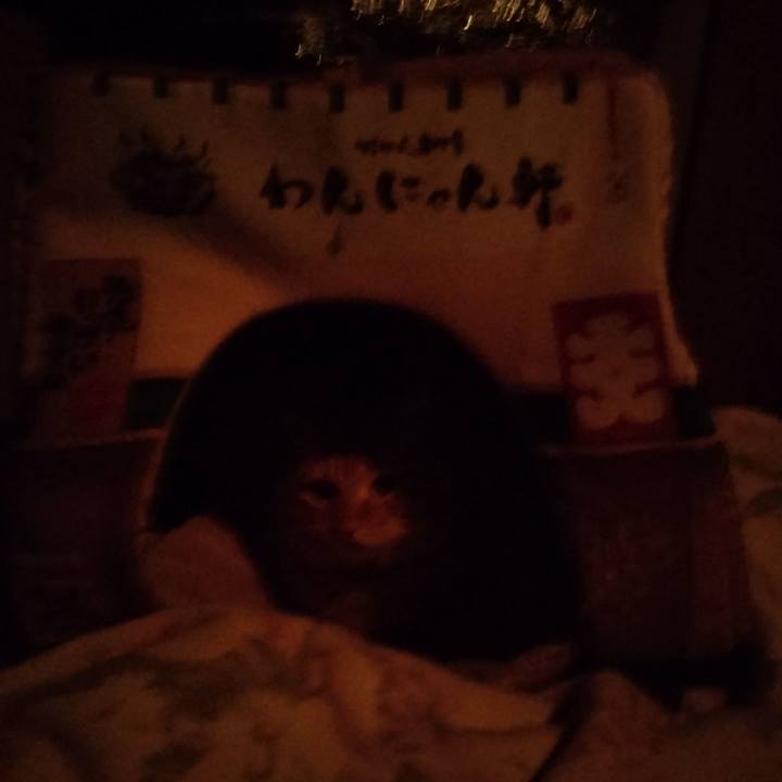 Eefb44e4 5f60 40d7 b257 6896ef745306 1675294566479