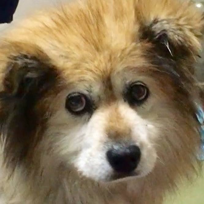 Eefbc3a2 ca33 45a1 922d 37ab2060a402 1588734158517