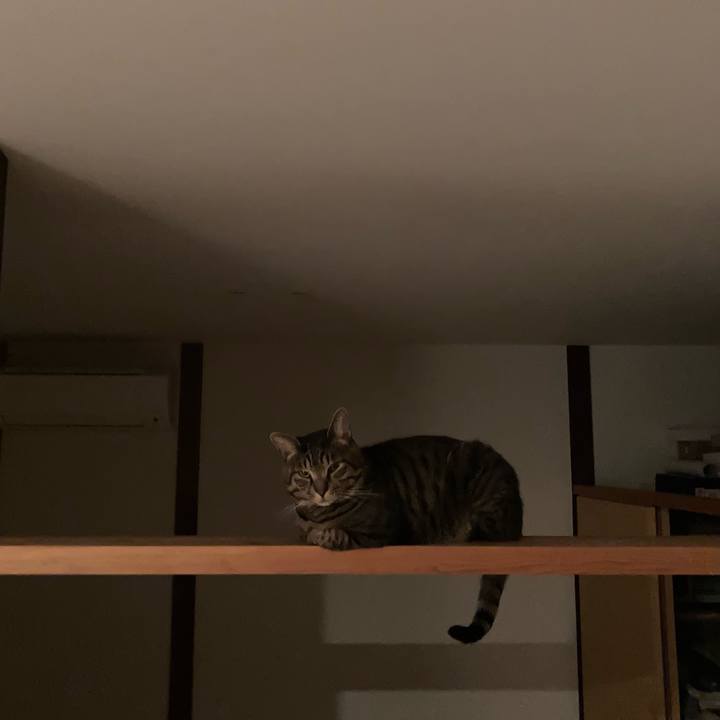 Eefbcaad 13e8 4a37 9c8d 080a9d3724d5 1699451604305