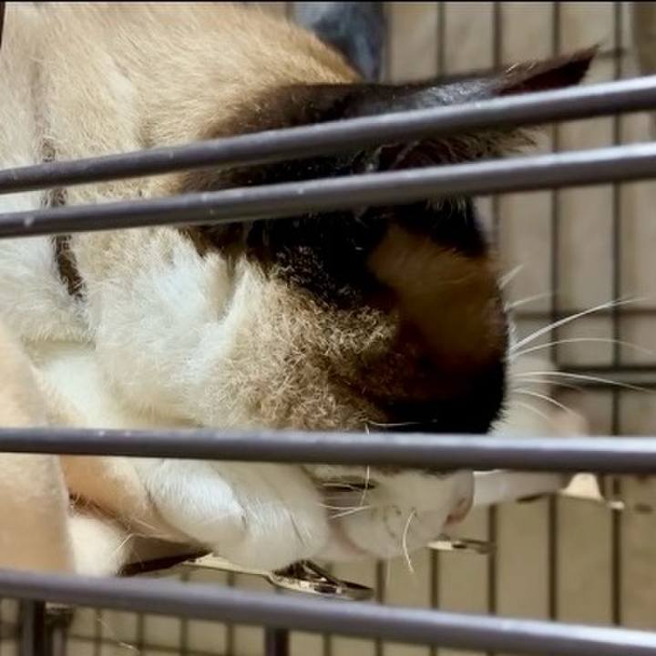 Eefbd85f 3dfb 4ee6 9b55 9bef1623e283 1750238971917