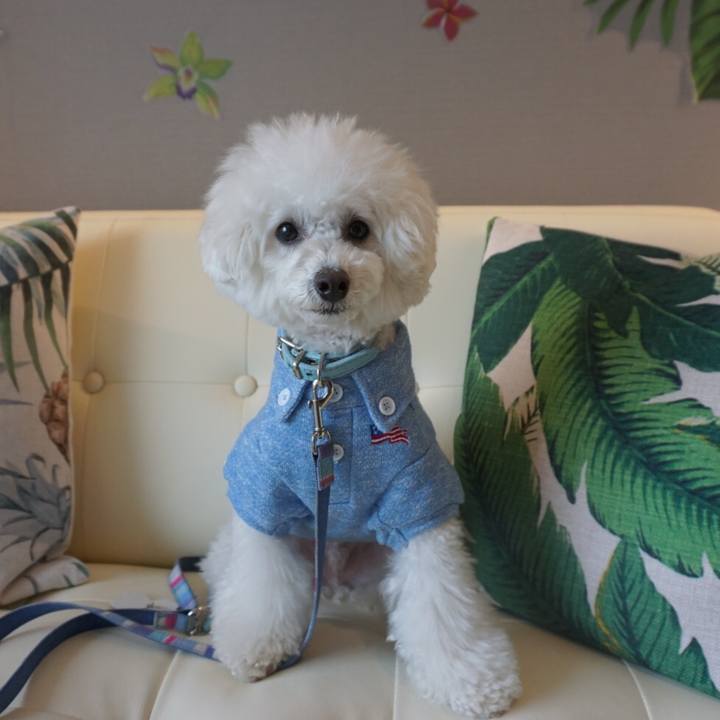 Eefbf9c5 7317 4bba bf52 24c6bc96a2c0 1554797775893