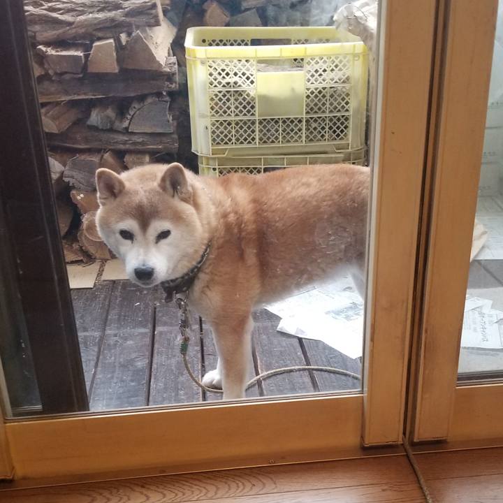 Eefc00de f16c 446c bcce 68e3caf5c33e 1702771501560