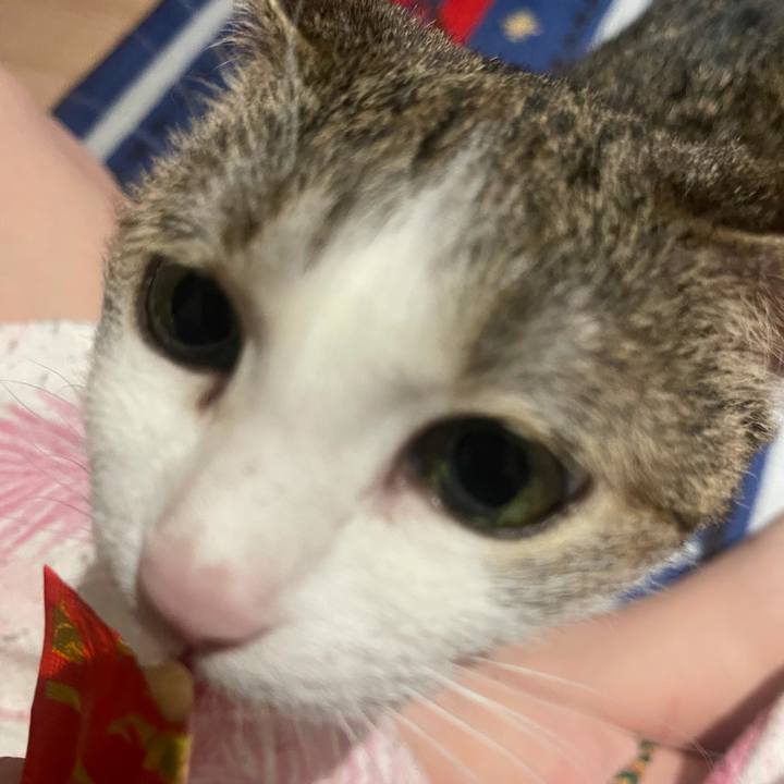 Eefc0360 ee9c 4411 ab28 c3dddc3069f3 1625233030219