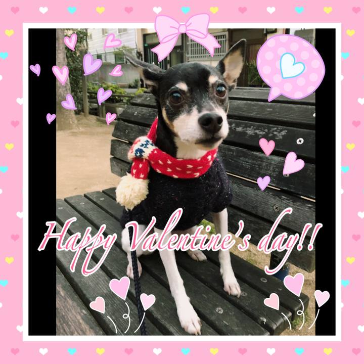 Eefc35ac 9601 4e57 8c10 6ff8778f594b 1518564302997