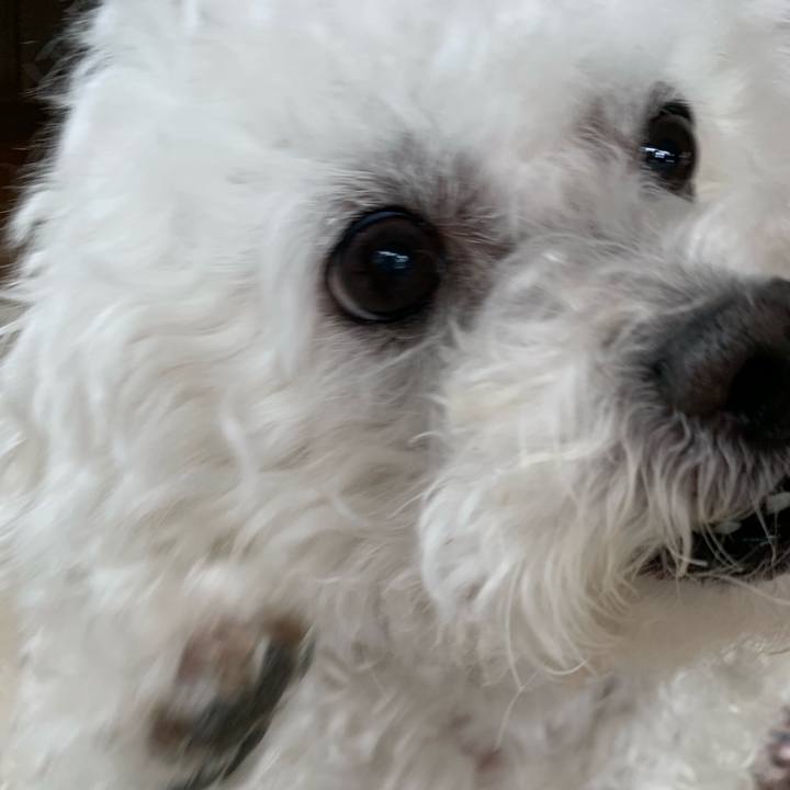 Eefc65e4 ab05 4b60 b87d 58b2db6146c8 1556532504694