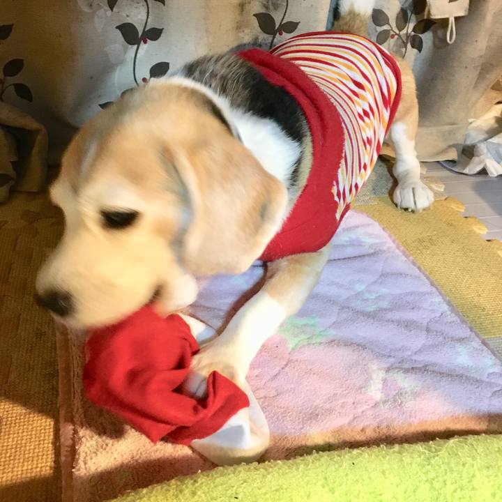 Eefc69eb 6628 4d5f 9aab 23569aaf8acf 1545490103100