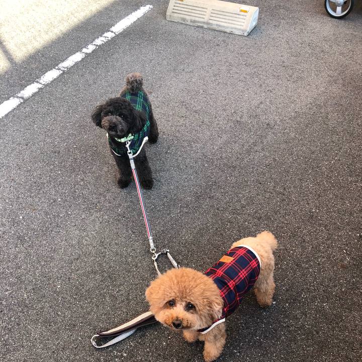 Eefc74cb cb6c 4dc0 82a3 09d8fe9b1de0 1606518446579