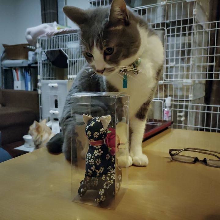 Eefc810b a3af 4cc9 9a72 f1cd04d940a3 1671354803784