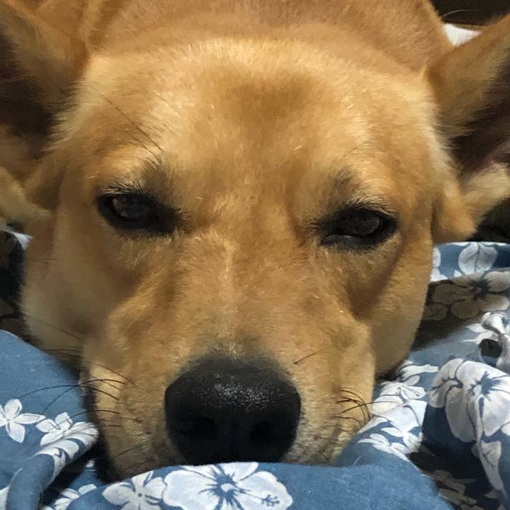 Eefc8d12 a588 49f7 b07b 653fdf84d1da 1564749296974