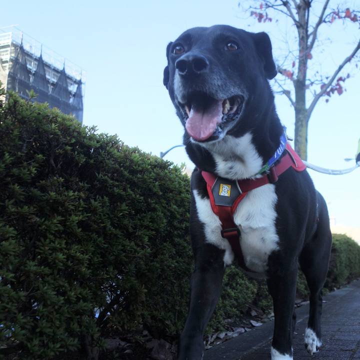 Eefc8fce 4c07 4a90 9dc2 a0c6e88b791a 1668127188068