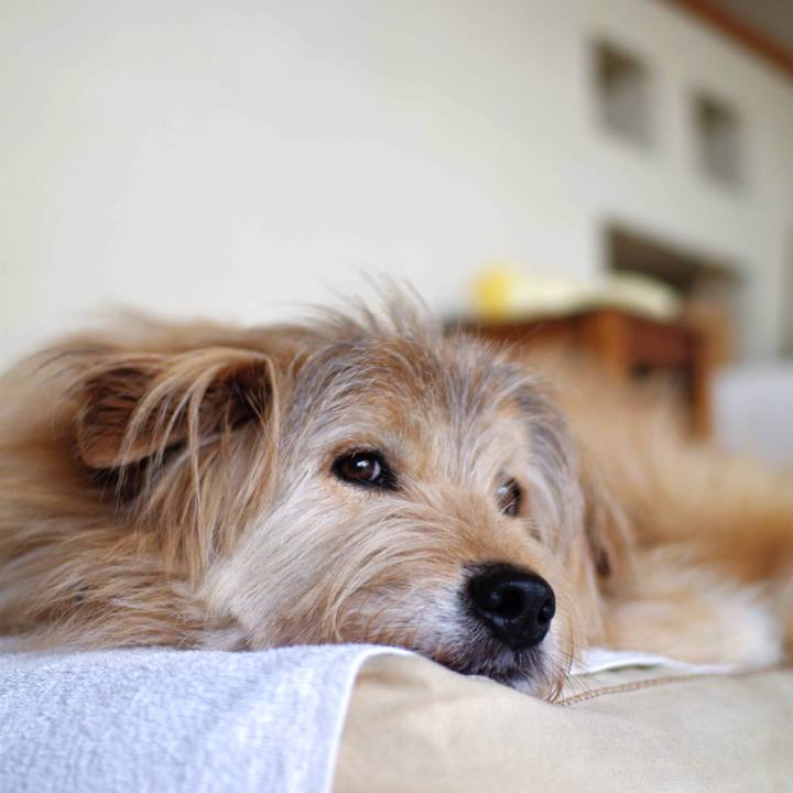 Eefcc70e 5da6 45cb 9de9 06635971deff 1556281801915