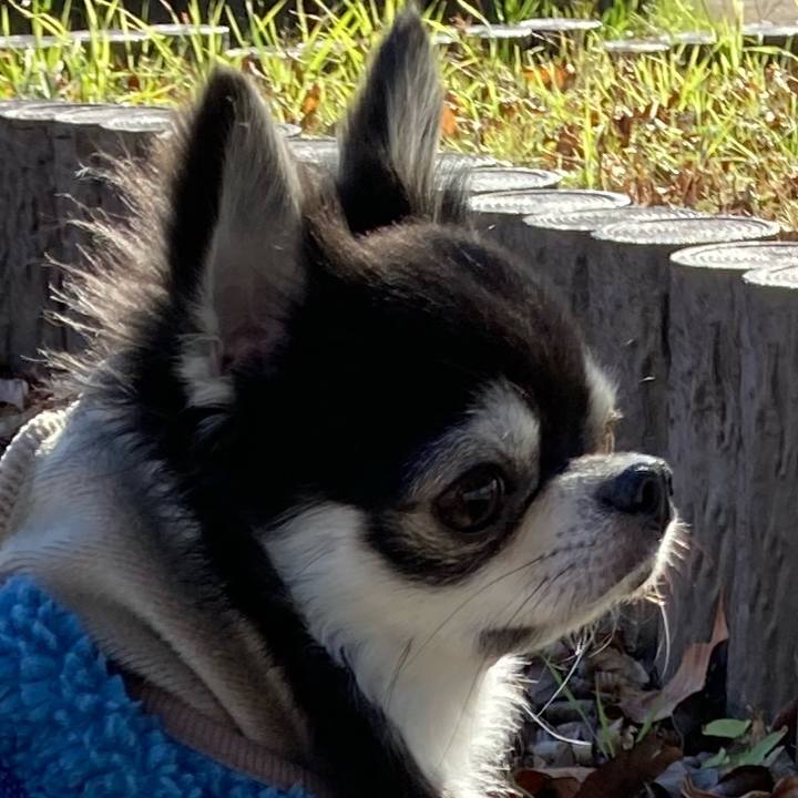 Eefcd7ea 5ad3 41a1 97c9 2909d6d78f8e 1671772927632