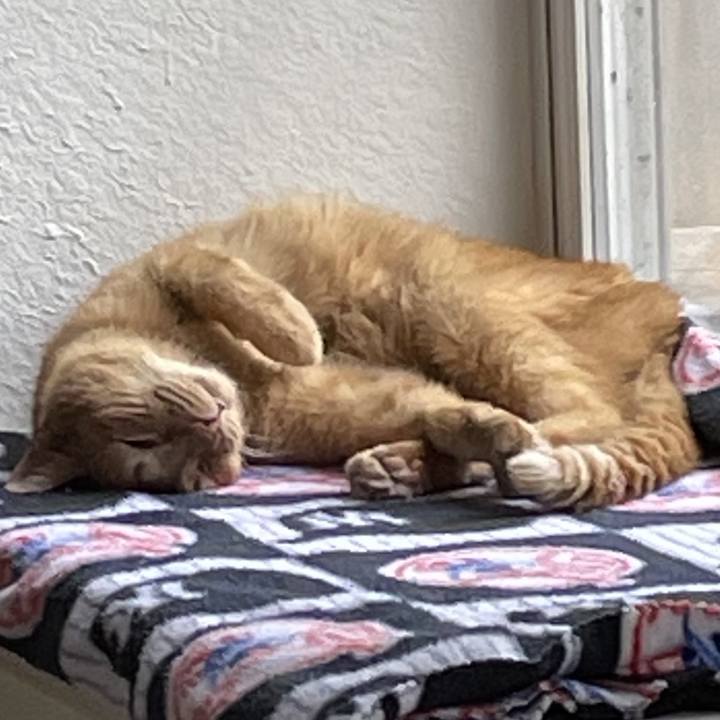 Eefce39c 692f 4fa8 8e56 61a2543d0de3 1743911510373