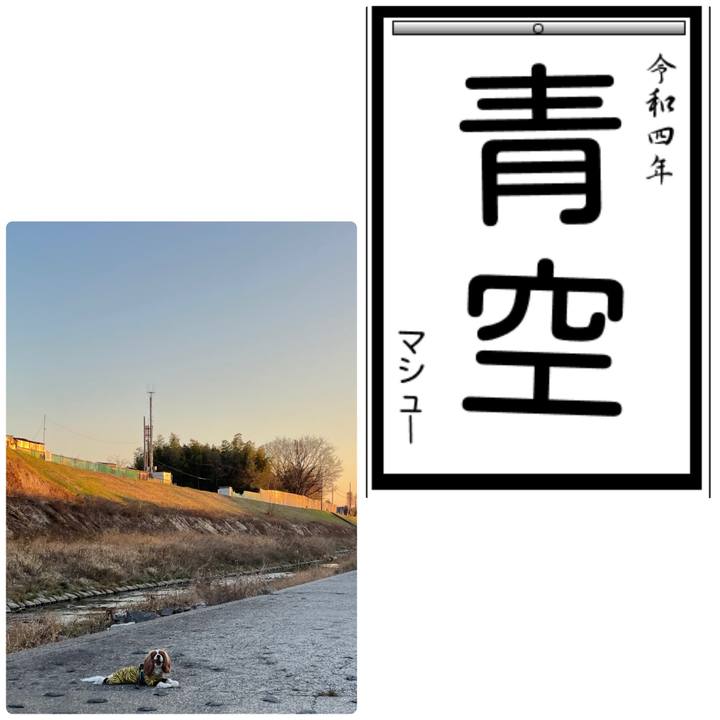 Eefceceb 846c 4a29 8c44 8e0529b23833 1641461801452