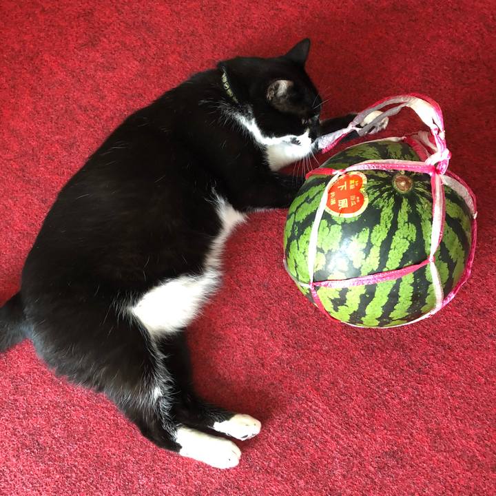 Eefd317e 62e2 4d89 a334 858b066da6dc 1533822386011