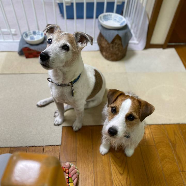 Eefd4d67 f11b 4df6 9e15 376c878b328f 1663799470422