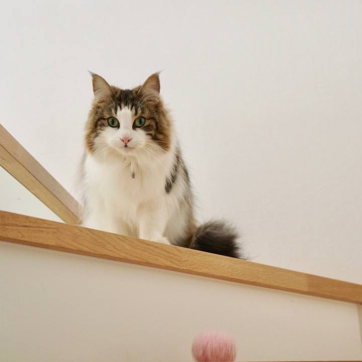 Eefd5846 8208 47d1 88f7 69f60cc462ac 1550720662234