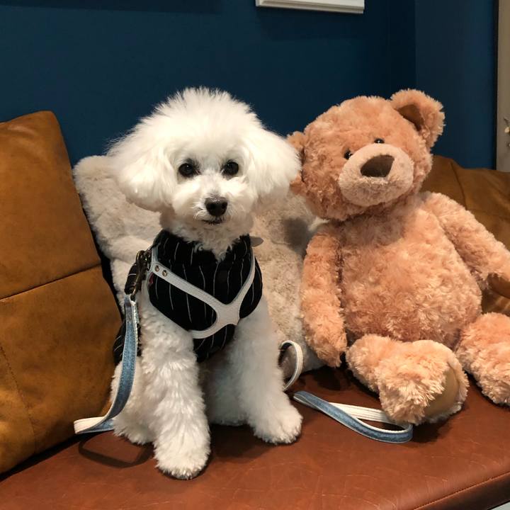 Eefd8d3b ef17 48e1 b806 1b988e2718ea 1706072314465