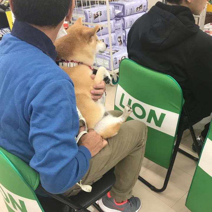 Eefd9ccd ed9c 4d93 8b18 bc99921f1442 1543061962116