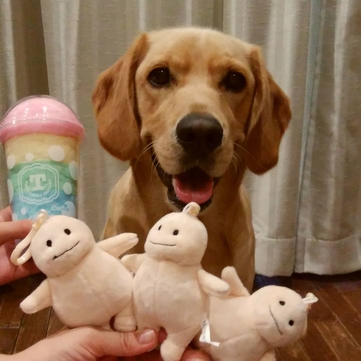 Eefdab63 385d 46c0 865b 7b50bd949483 1533201082519