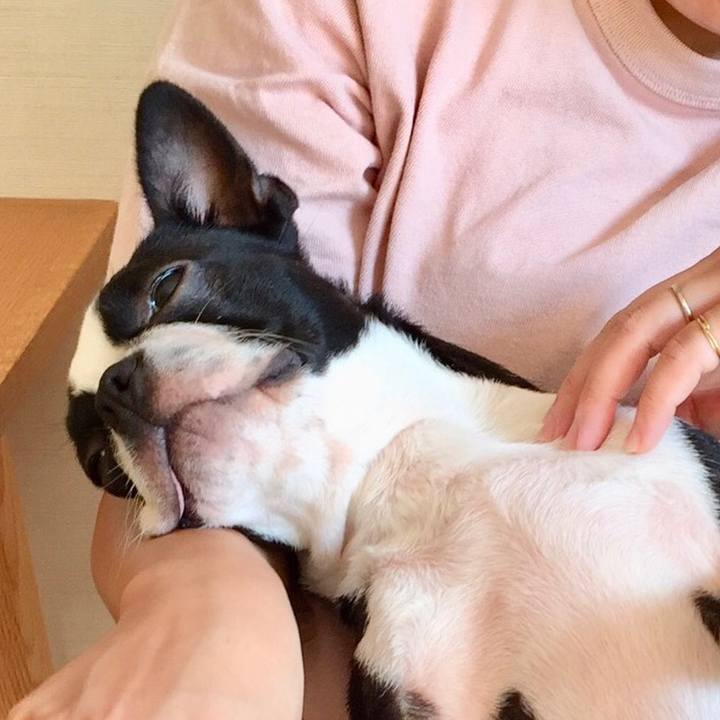 Eefdc972 0d5e 41bb 8235 097d2c328e30 1529928840085