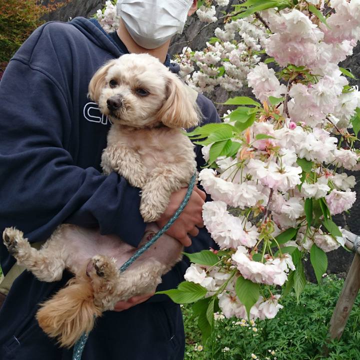 Eefdd00b 7fd5 48fe ac2f 4425479d63a2 1587282902556