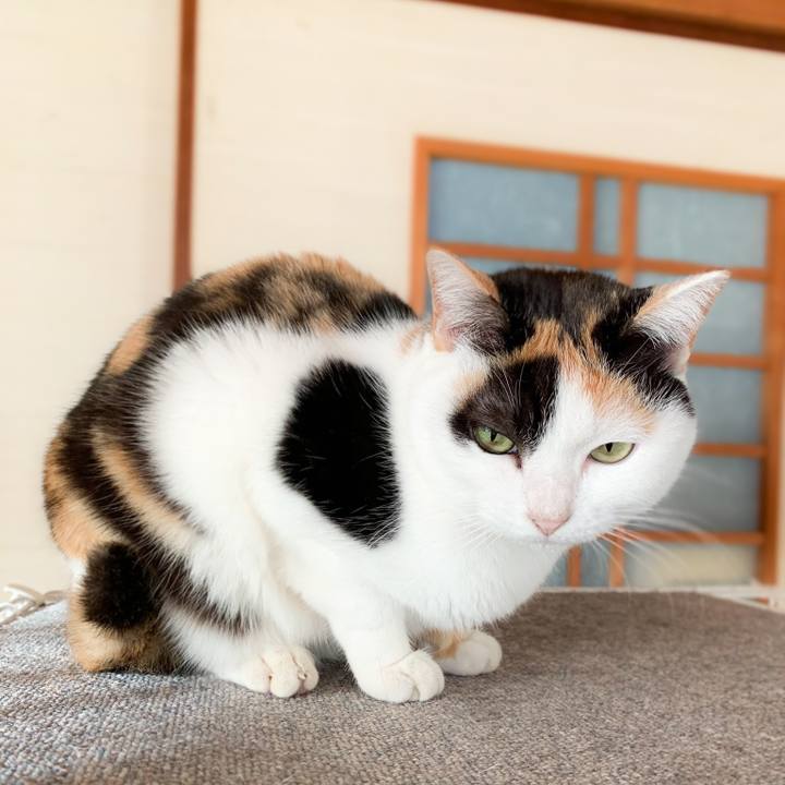 Eefe221e e6a5 4cb9 be23 b33d69405bcd 1580265031962