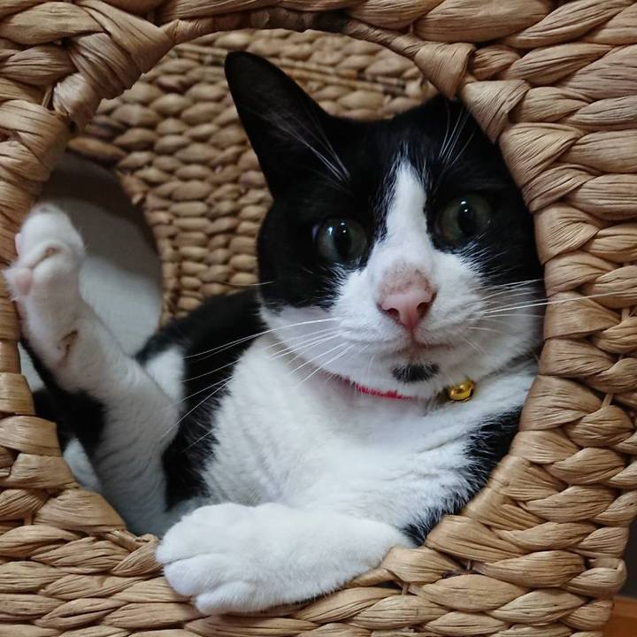 Eefe2aee a4b9 406a 93f9 2e1dfeecc4ca 1602894327765