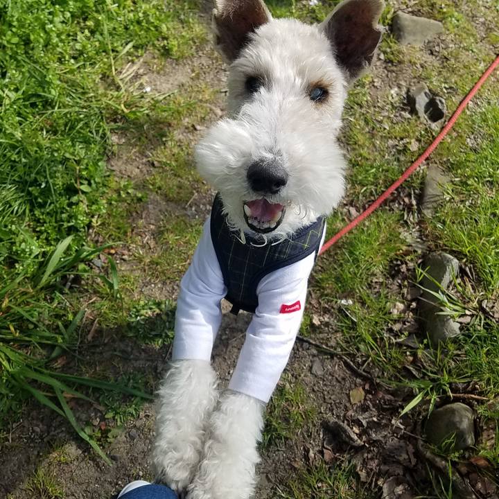 Eefe36b9 be9c 4b98 9a97 8b53dac84ab4 1585215343078