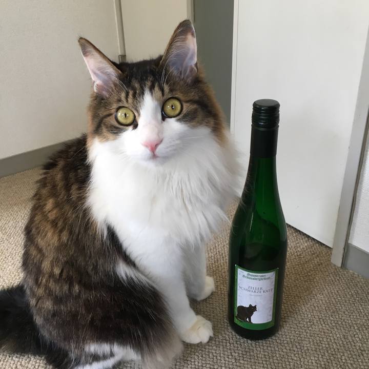 Eefe663a 7391 43e8 b4ba a3653dc3cc50 1522503235950