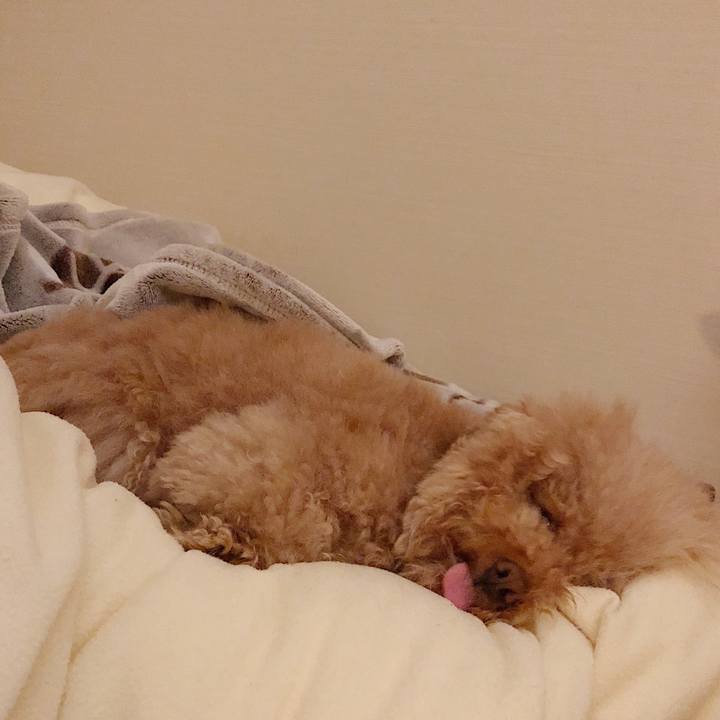 Eefe8e90 b155 4f00 8beb 9347092245d5 1522672753231