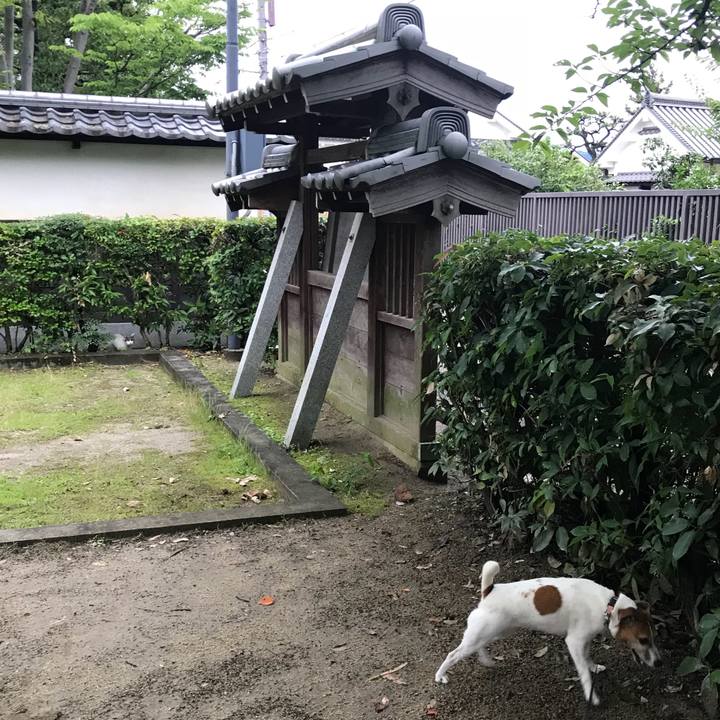 Eefe9f09 a232 4712 bd33 00a5c203c1fc 1529748194341