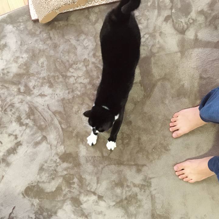 Eefeb385 1b12 4b69 aedf 6ec87acb5099 1767135980864